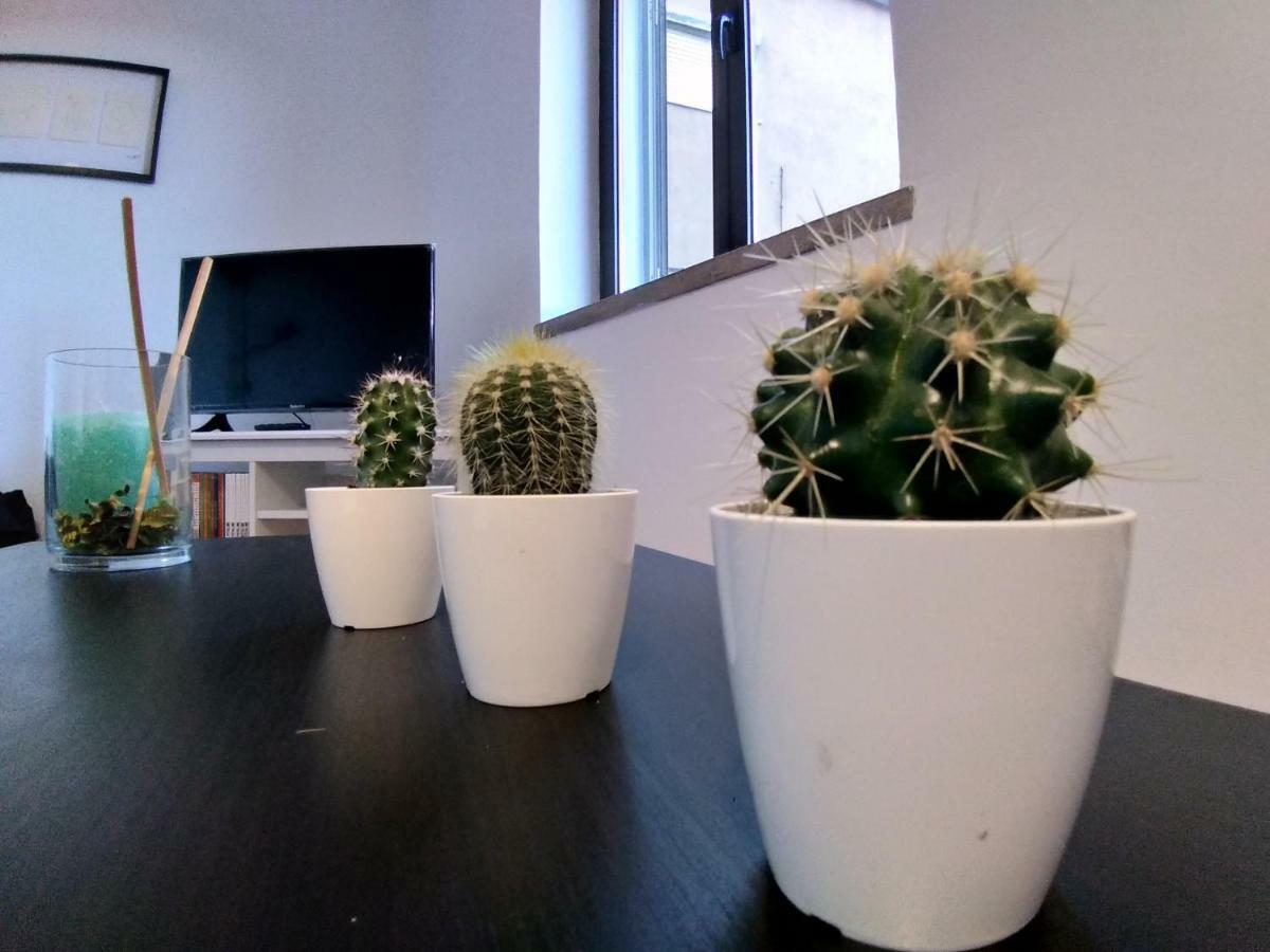Apartamentos Cimo De Vila Vouzela Eksteriør billede